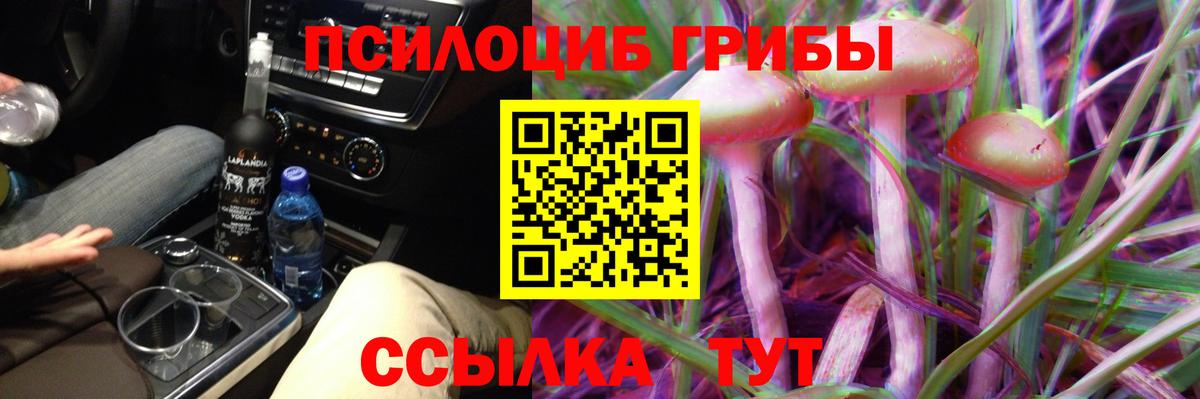 Печора  Галлюциногенные грибы Cubensis  Вход с VPN 